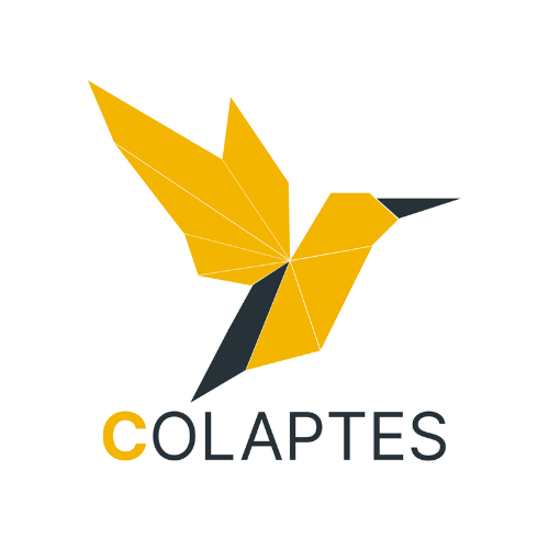Colaptes